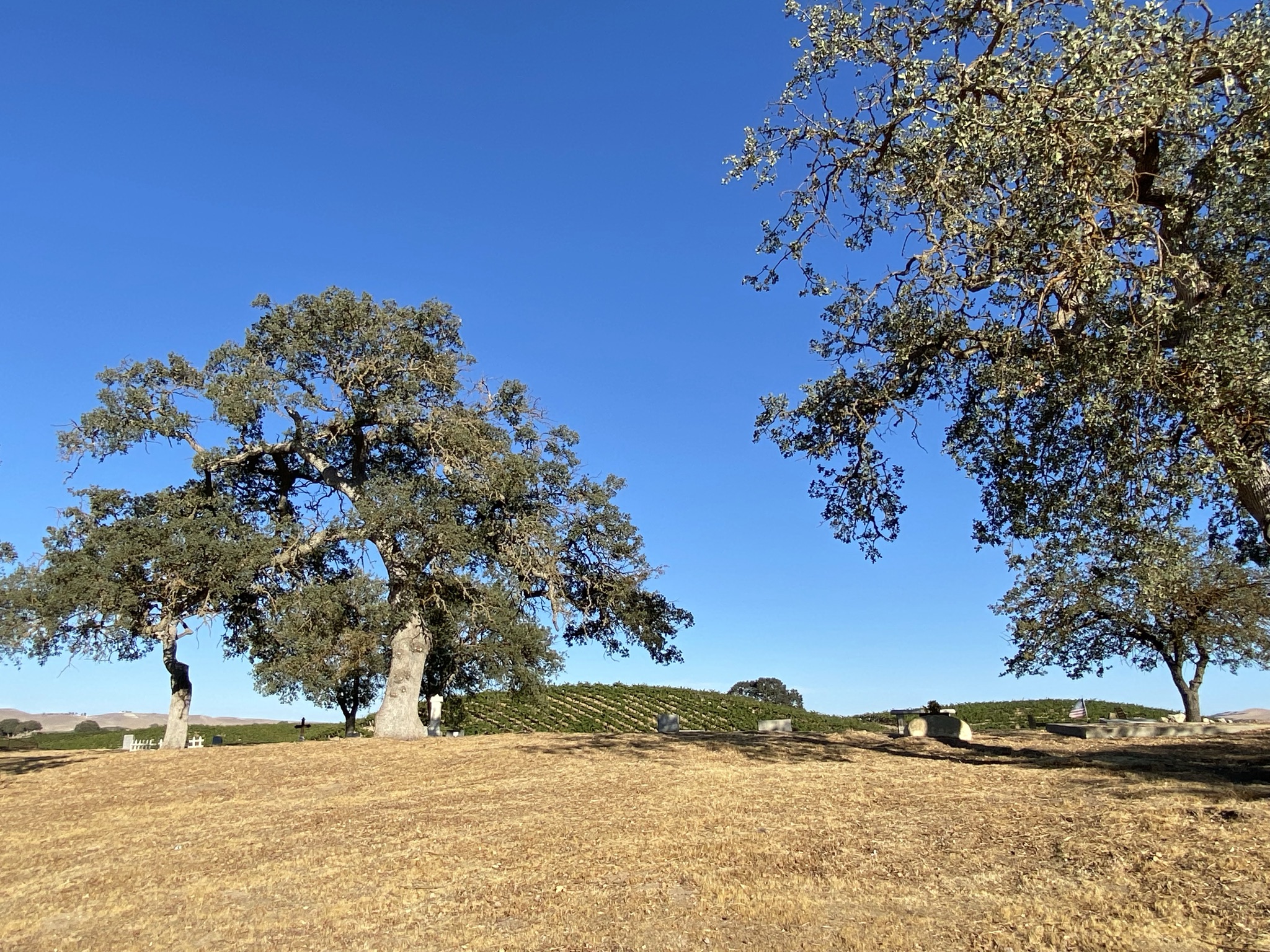 Creston Cemetery - Destination Destiny