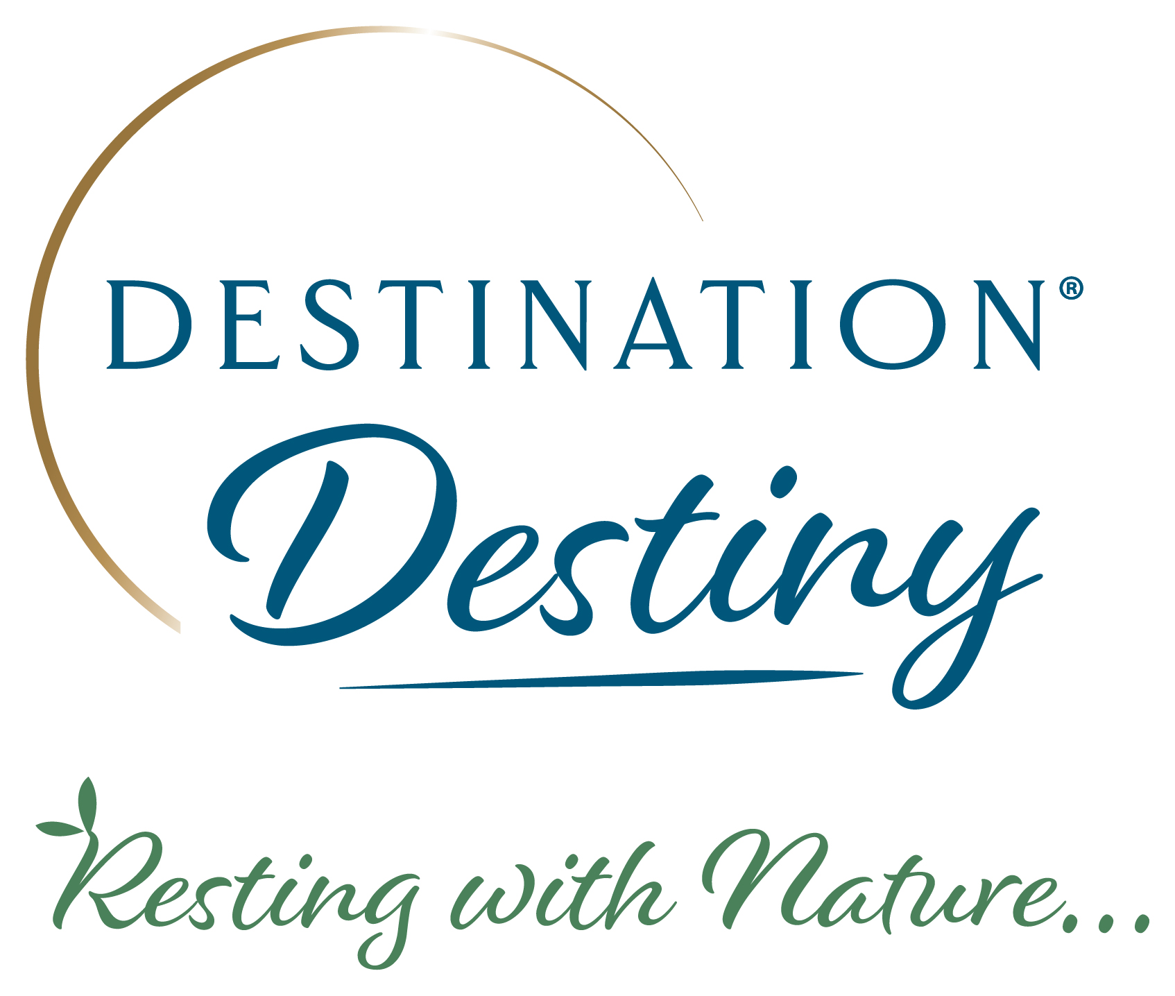 Destination Destiny Logo